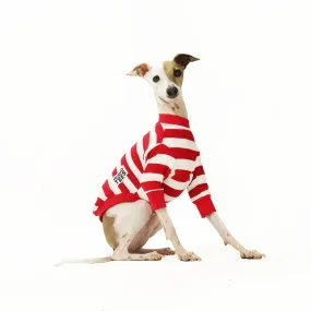 Wally Italian Greyhound Long Sleeve Hound-Tee